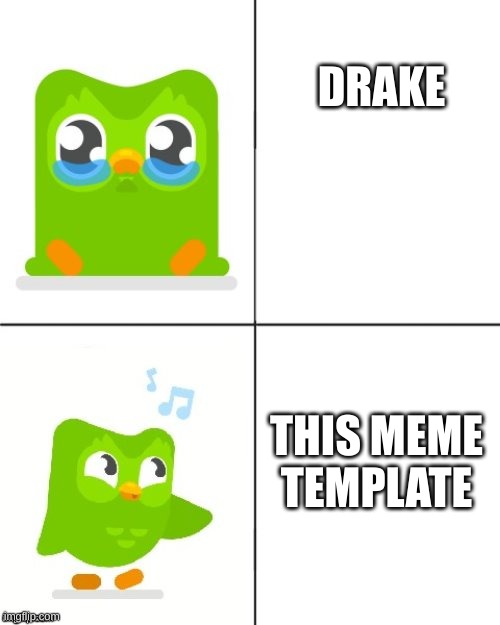 Duolingo Drake meme | DRAKE; THIS MEME TEMPLATE | image tagged in duolingo drake meme | made w/ Imgflip meme maker