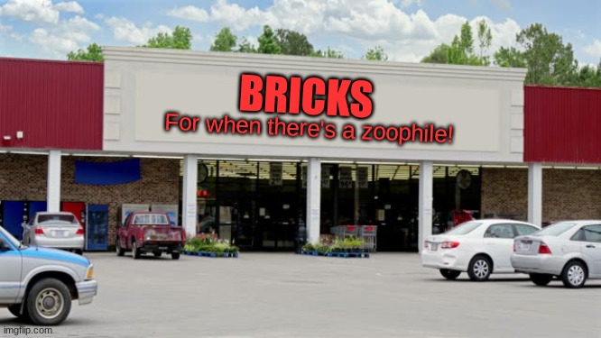 Supermarket | BRICKS For when there's a zoophile! | image tagged in supermarket | made w/ Imgflip meme maker