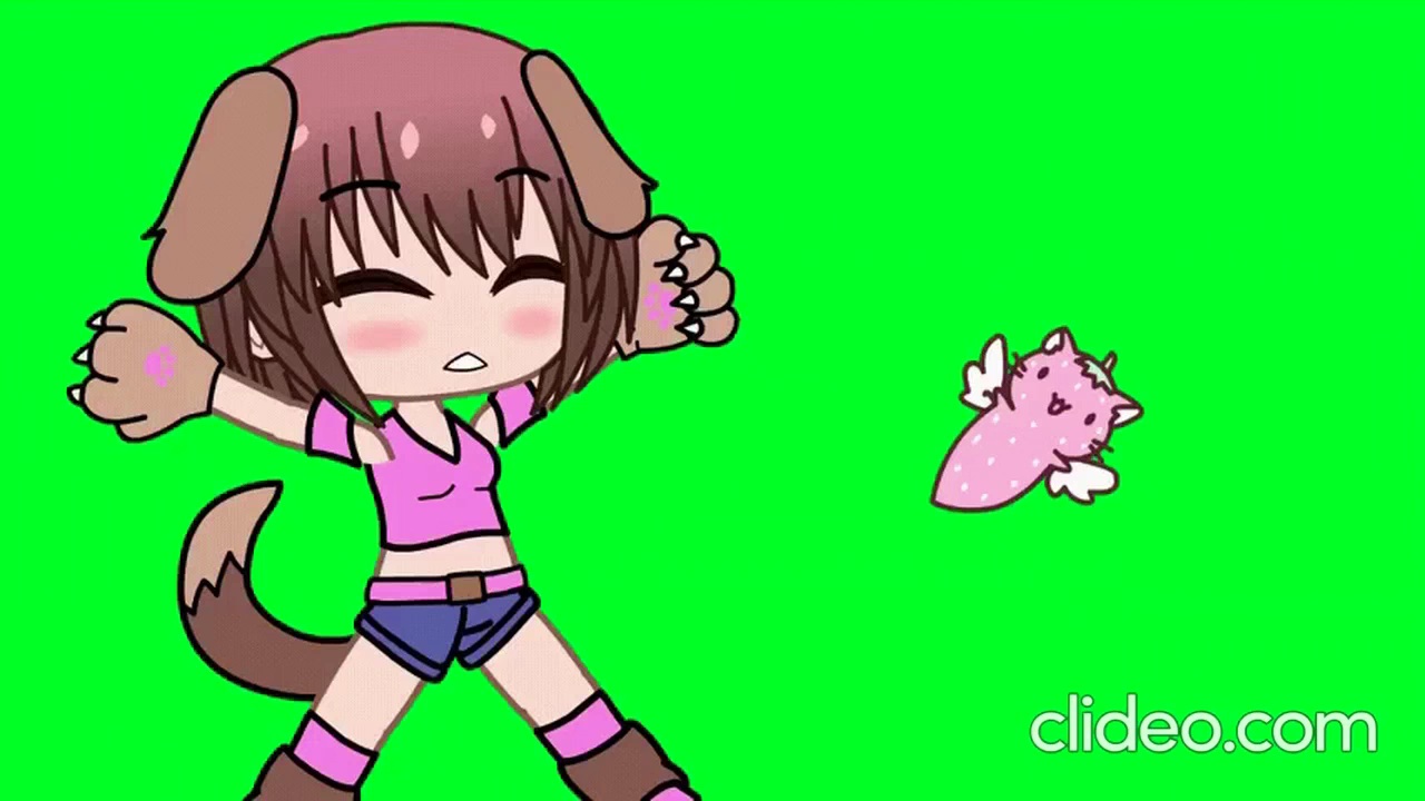 Wan-chan sleeping Blank Meme Template