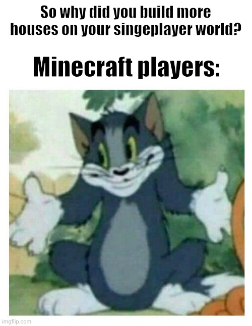 IDK Tom Template | So why did you build more houses on your singeplayer world? Minecraft players: | made w/ Imgflip meme maker