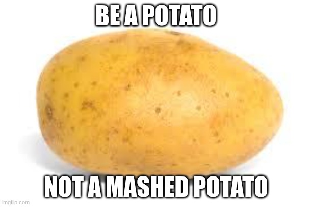 be a potato | BE A POTATO; NOT A MASHED POTATO | image tagged in potato | made w/ Imgflip meme maker