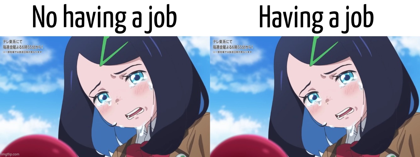 It's still better to have a job. | No having a job; Having a job | image tagged in unemployed,employed,memes | made w/ Imgflip meme maker