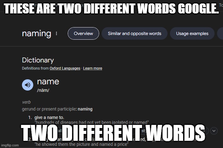 these are two different words | THESE ARE TWO DIFFERENT WORDS GOOGLE. TWO DIFFERENT WORDS | image tagged in you had one job | made w/ Imgflip meme maker