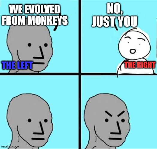 NPC Meme | NO, JUST YOU; WE EVOLVED FROM MONKEYS; THE LEFT; THE RIGHT | image tagged in npc meme,funny memes | made w/ Imgflip meme maker