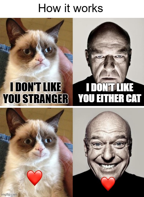 How it works; I DON'T LIKE YOU EITHER CAT; I DON'T LIKE YOU STRANGER | image tagged in cats,grumpy cat,funny,dean norris's reaction | made w/ Imgflip meme maker