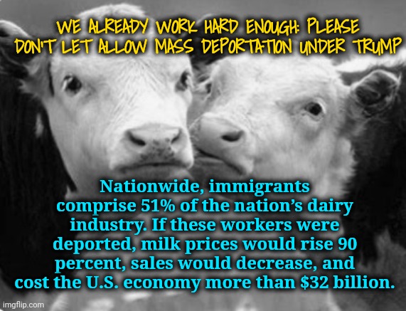 We Already Work So Hard | WE ALREADY WORK HARD ENOUGH: PLEASE DON'T LET ALLOW MASS DEPORTATION UNDER TRUMP; Nationwide, immigrants comprise 51% of the nation’s dairy industry. If these workers were deported, milk prices would rise 90 percent, sales would decrease, and cost the U.S. economy more than $32 billion. | image tagged in dairy,immigrants,farmers,kamala harris,dnc,msnbc | made w/ Imgflip meme maker