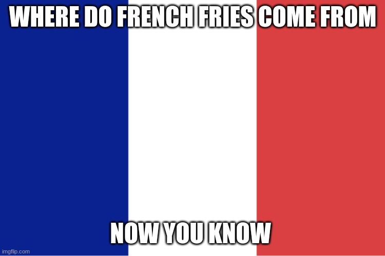 French flag | WHERE DO FRENCH FRIES COME FROM; NOW YOU KNOW | image tagged in french flag | made w/ Imgflip meme maker