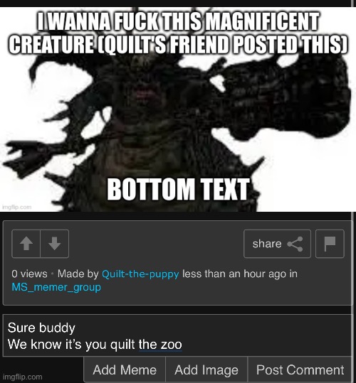 made w/ Imgflip meme maker