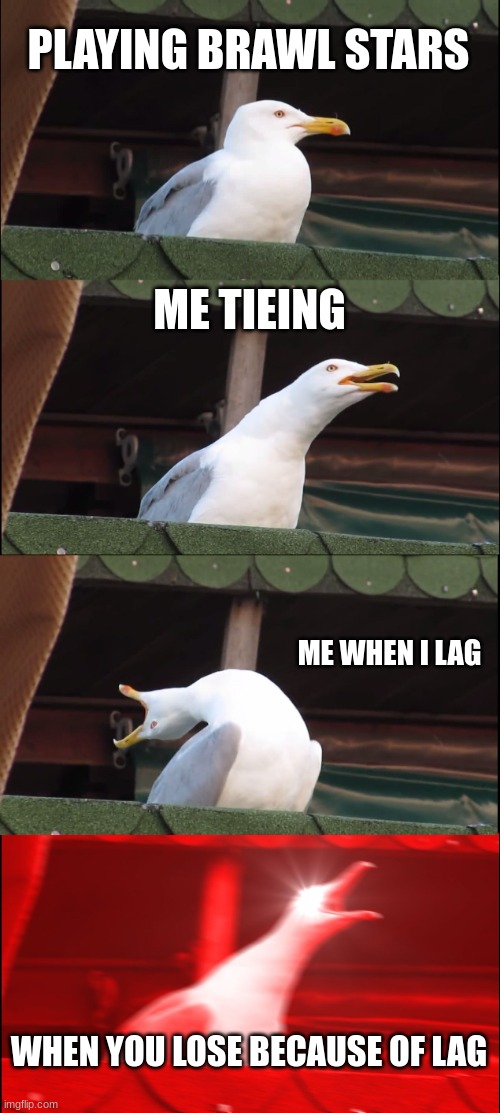 Brawl Starrss | PLAYING BRAWL STARS; ME TIEING; ME WHEN I LAG; WHEN YOU LOSE BECAUSE OF LAG | image tagged in memes,inhaling seagull | made w/ Imgflip meme maker