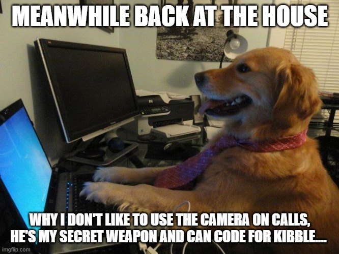 Camera | MEANWHILE BACK AT THE HOUSE; WHY I DON'T LIKE TO USE THE CAMERA ON CALLS, HE'S MY SECRET WEAPON AND CAN CODE FOR KIBBLE.... | image tagged in dog computer | made w/ Imgflip meme maker