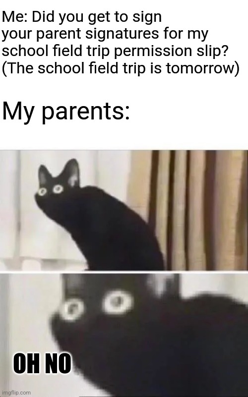 Has your parents got this happened? | Me: Did you get to sign your parent signatures for my school field trip permission slip? (The school field trip is tomorrow); My parents:; OH NO | image tagged in oh no black cat,memes,funny,school | made w/ Imgflip meme maker