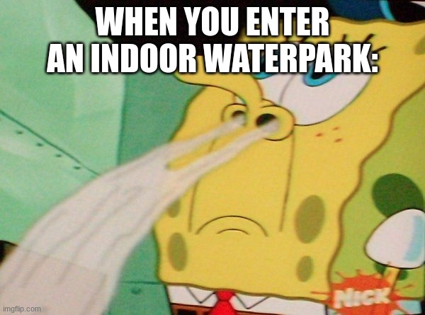 Spongebob Sniff | WHEN YOU ENTER AN INDOOR WATERPARK: | image tagged in spongebob sniff,meme | made w/ Imgflip meme maker