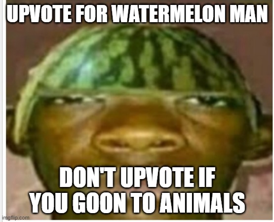 Watermelon man | UPVOTE FOR WATERMELON MAN; DON'T UPVOTE IF YOU GOON TO ANIMALS | image tagged in watermelon man | made w/ Imgflip meme maker