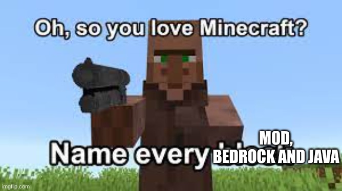 You like Minecraft? | MOD, BEDROCK AND JAVA | image tagged in oh so you like minecraft | made w/ Imgflip meme maker