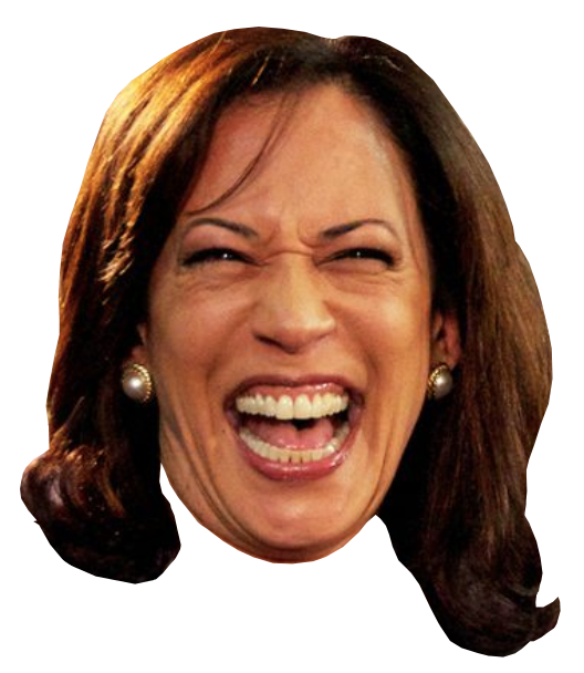 kamala - NO BRAIN Blank Meme Template