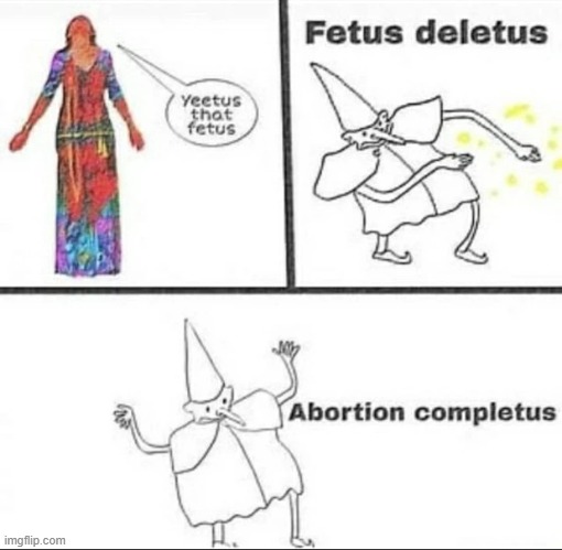 Fetus, Deletus, Absorption, Completus. | image tagged in dark humor,memes,funny memes | made w/ Imgflip meme maker