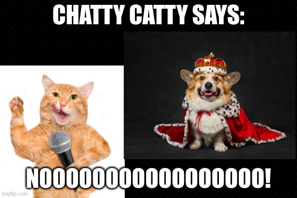 Chatty Catty Says | CHATTY CATTY SAYS:; NOOOOOOOOOOOOOOOOO! | image tagged in free,chatty catty,funny,memes,dogs,noooooooooooooooooooooooo | made w/ Imgflip meme maker