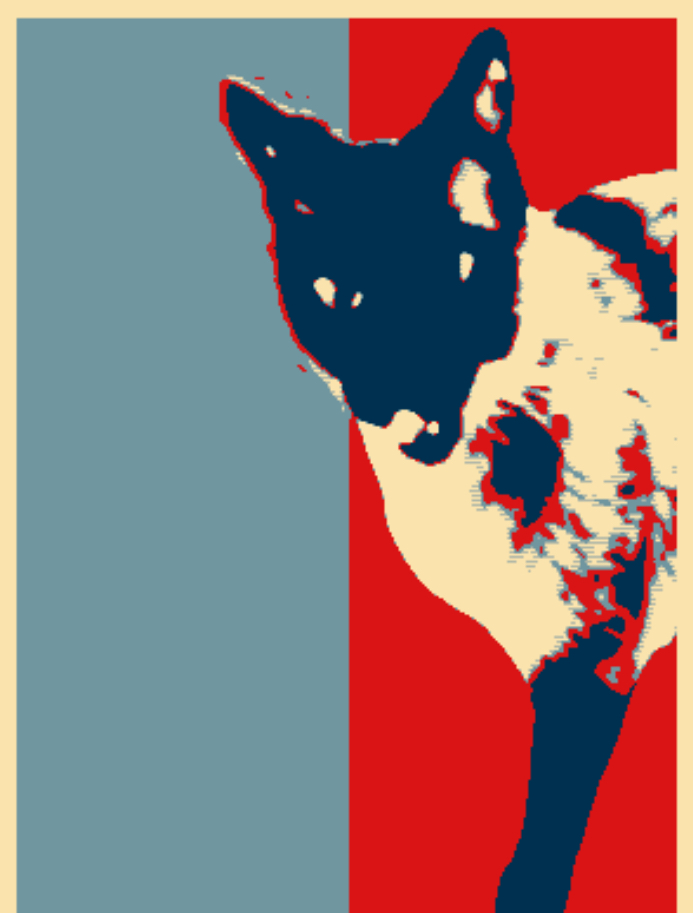 Vote for cats Blank Meme Template