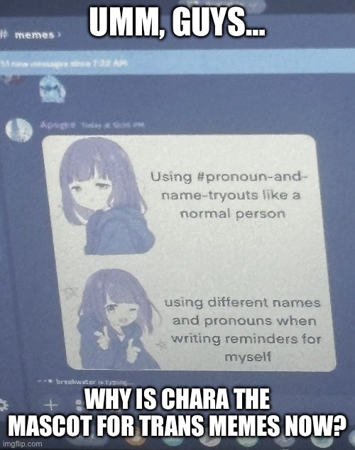 Found this meme on my friend’s PC | UMM, GUYS…; WHY IS CHARA THE MASCOT FOR TRANS MEMES NOW? | image tagged in trans,meme,chara,undertale,funny,lgbt | made w/ Imgflip meme maker