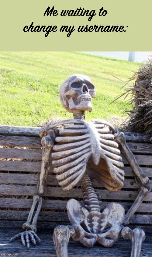 Waiting Skeleton | Me waiting to change my username: | image tagged in memes,waiting skeleton | made w/ Imgflip meme maker