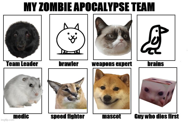 My Zombie Apocalypse Team | image tagged in doggo,catto | made w/ Imgflip meme maker