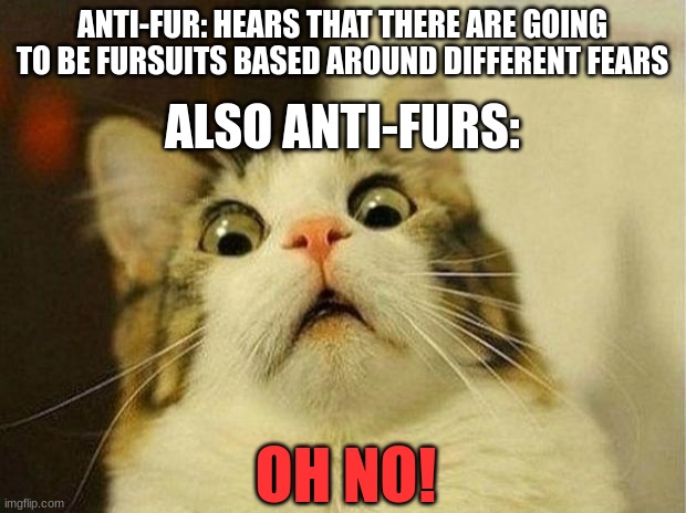 ruh-roh! | ANTI-FUR: HEARS THAT THERE ARE GOING TO BE FURSUITS BASED AROUND DIFFERENT FEARS; ALSO ANTI-FURS:; OH NO! | image tagged in memes,scared cat | made w/ Imgflip meme maker