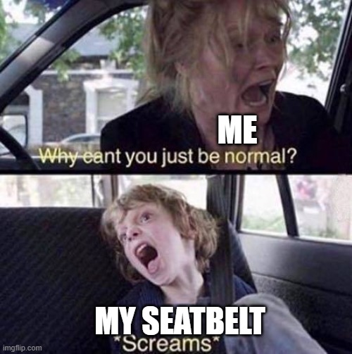 Why Can't You Just Be Normal | ME; MY SEATBELT | image tagged in why can't you just be normal | made w/ Imgflip meme maker