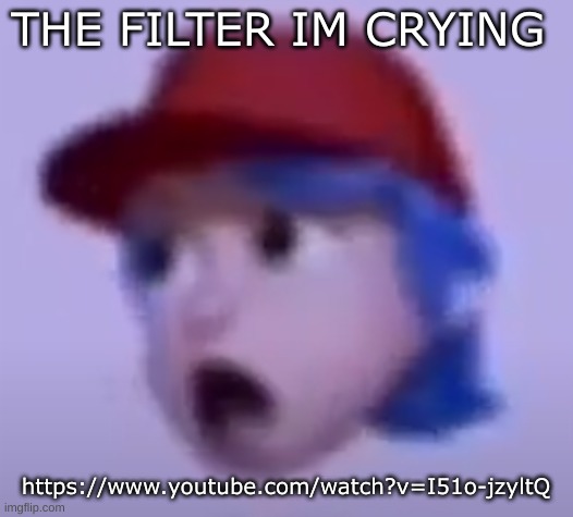 what the silly billy | THE FILTER IM CRYING; https://www.youtube.com/watch?v=I51o-jzyltQ | image tagged in what the silly billy | made w/ Imgflip meme maker
