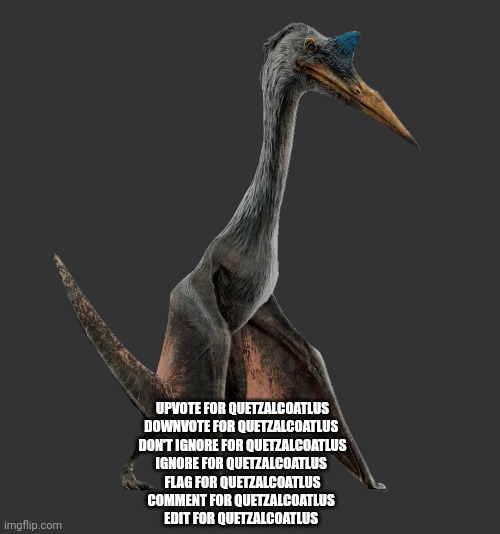 Read for Quetzalcoatlus | UPVOTE FOR QUETZALCOATLUS
DOWNVOTE FOR QUETZALCOATLUS 
DON'T IGNORE FOR QUETZALCOATLUS
IGNORE FOR QUETZALCOATLUS 
FLAG FOR QUETZALCOATLUS
COMMENT FOR QUETZALCOATLUS 
EDIT FOR QUETZALCOATLUS | image tagged in quetzalcoatlus | made w/ Imgflip meme maker