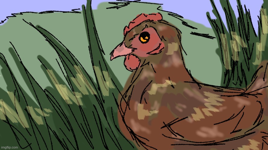 one of my chickens, she's a speckled sussex | image tagged in drawing,chicken | made w/ Imgflip meme maker