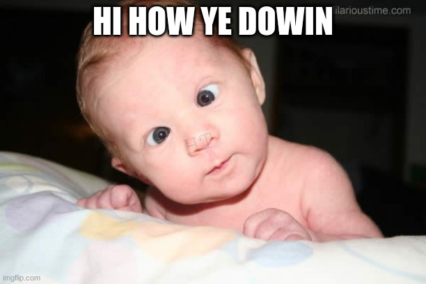 Utterly Confused Babby | HI HOW YE DOWIN | image tagged in utterly confused babby | made w/ Imgflip meme maker