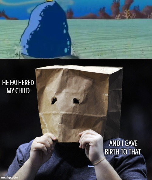 AND I GAVE BIRTH TO THAT HE FATHERED MY CHILD | image tagged in squidward gets crushed by a boulder,bag over head | made w/ Imgflip meme maker