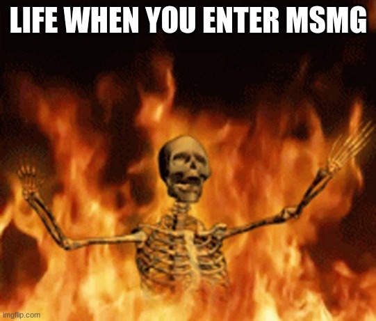 Skeleton Burning In Hell | LIFE WHEN YOU ENTER MSMG | image tagged in skeleton burning in hell | made w/ Imgflip meme maker