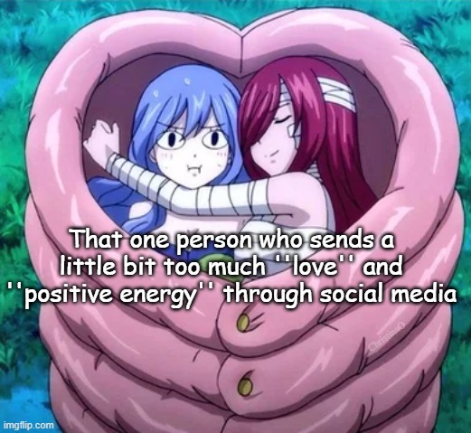 Fairy Tail Memes Social Media | That one person who sends a little bit too much ''love'' and ''positive energy'' through social media; ChristinaO | image tagged in memes,fairy tail meme,fairy tail memes,fairy tail,anime memes,erza scarlet | made w/ Imgflip meme maker