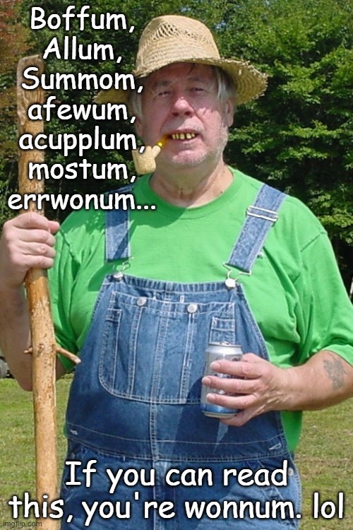 Redneck farmer | Boffum, Allum, Summom, afewum, acupplum, mostum, errwonum... If you can read this, you're wonnum. lol | image tagged in redneck farmer | made w/ Imgflip meme maker