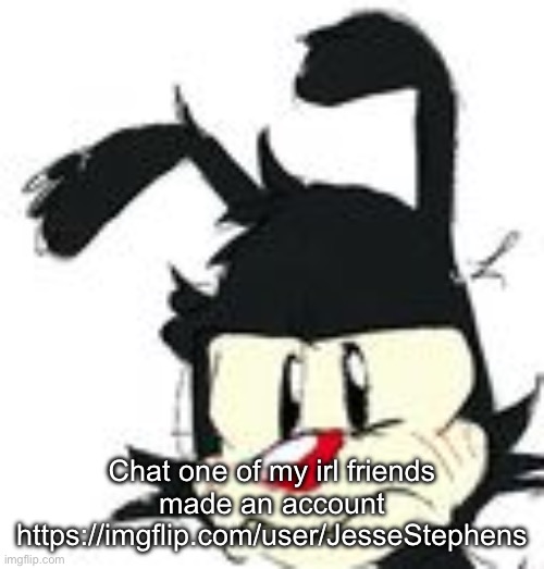 yakko | Chat one of my irl friends made an account https://imgflip.com/user/JesseStephens | image tagged in yakko | made w/ Imgflip meme maker