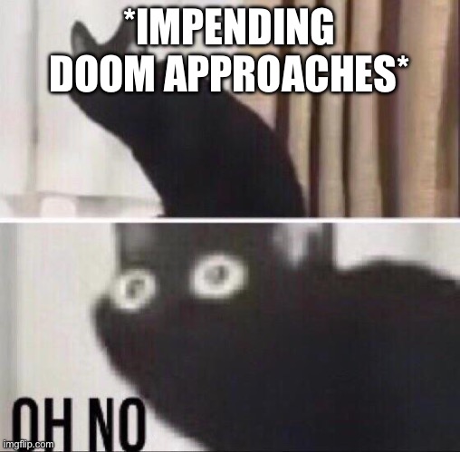 Oh no cat | *IMPENDING DOOM APPROACHES* | image tagged in oh no cat | made w/ Imgflip meme maker