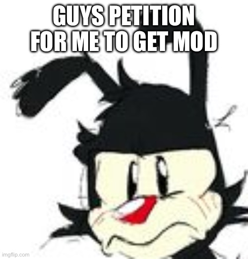 yakko | GUYS PETITION FOR ME TO GET MOD | image tagged in yakko | made w/ Imgflip meme maker