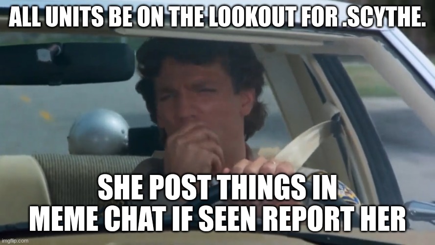 she is not missing all units stand down | ALL UNITS BE ON THE LOOKOUT FOR .SCYTHE. SHE POST THINGS IN MEME CHAT IF SEEN REPORT HER | image tagged in chp police officer | made w/ Imgflip meme maker