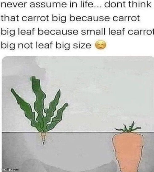 Carrot | image tagged in never assume in life,dont think that carrot big because,carrot big leaf because,small leaf carrot big not,leaf big size | made w/ Imgflip meme maker