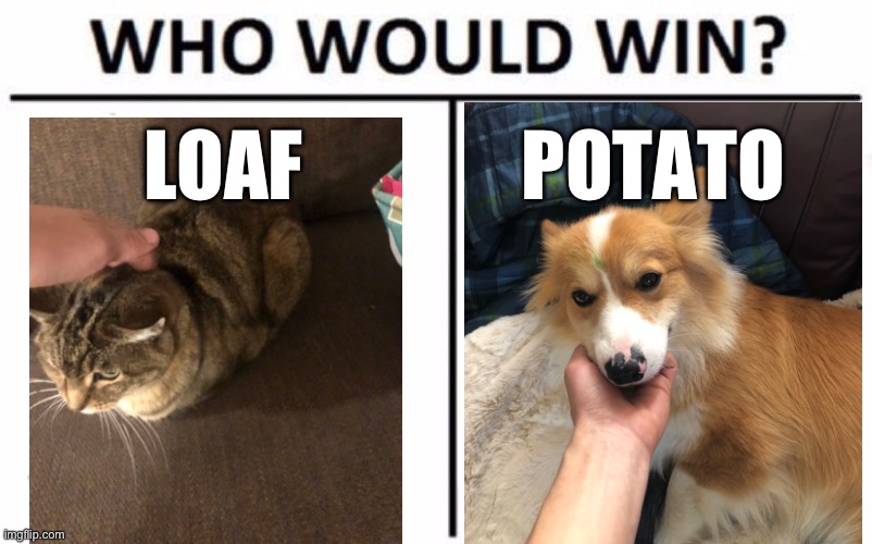 Who Would Win? | LOAF; POTATO | image tagged in memes,who would win | made w/ Imgflip meme maker