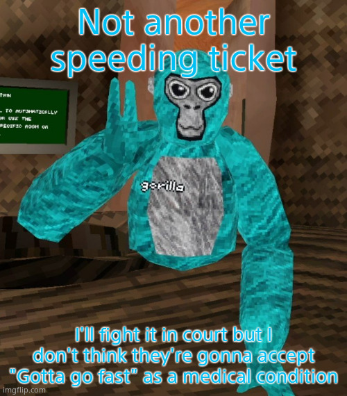 Sonic Boom quote lol | Not another speeding ticket; I'll fight it in court but I don't think they're gonna accept "Gotta go fast" as a medical condition | image tagged in monkey | made w/ Imgflip meme maker