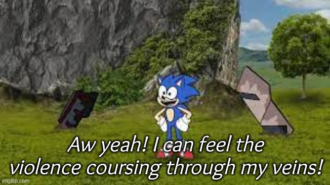 sonic violence coursing through my veins | image tagged in sonic violence coursing through my veins | made w/ Imgflip meme maker