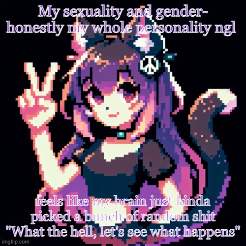 What happened was not good | My sexuality and gender- honestly my whole personality ngl; feels like my brain just kinda picked a bunch of random shit "What the hell, let's see what happens" | image tagged in catgirl with peace sign | made w/ Imgflip meme maker