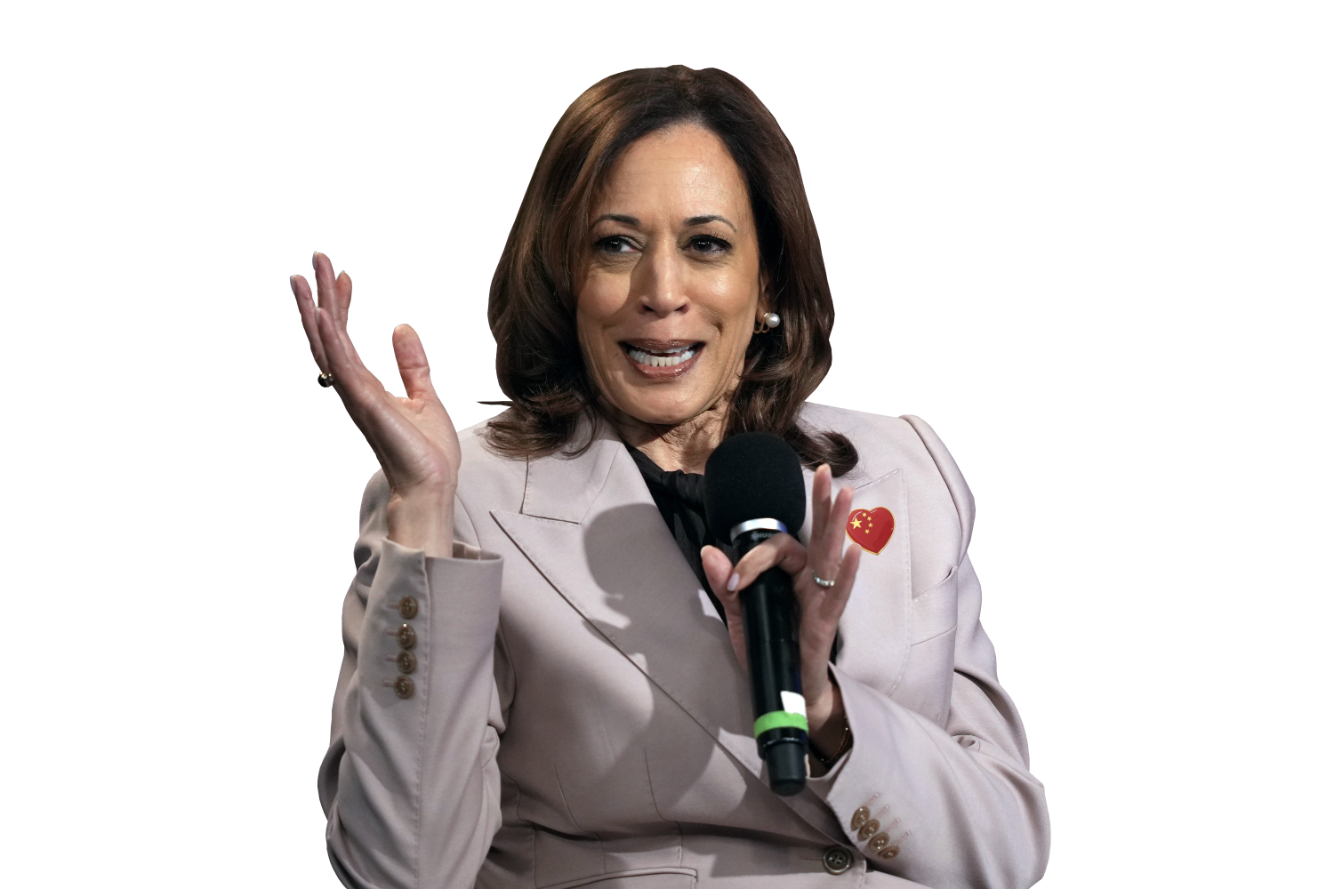 KAMALA - ILLEGIT CANDIDATE Blank Meme Template