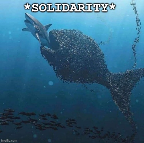 solidarity | *SOLIDARITY* | image tagged in union | made w/ Imgflip meme maker