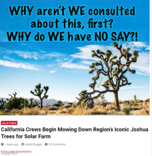 THEY’re messing with the perfectly Created balance of nature | image tagged in memes,bvllshit solar farms at the cost of nature,stop supporting it n stop it,dems n fjb n fkh voters r evil dummies,kissmyass | made w/ Imgflip meme maker