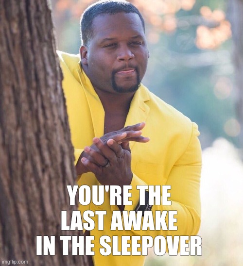 who next | YOU'RE THE LAST AWAKE IN THE SLEEPOVER | image tagged in black guy hiding behind tree | made w/ Imgflip meme maker