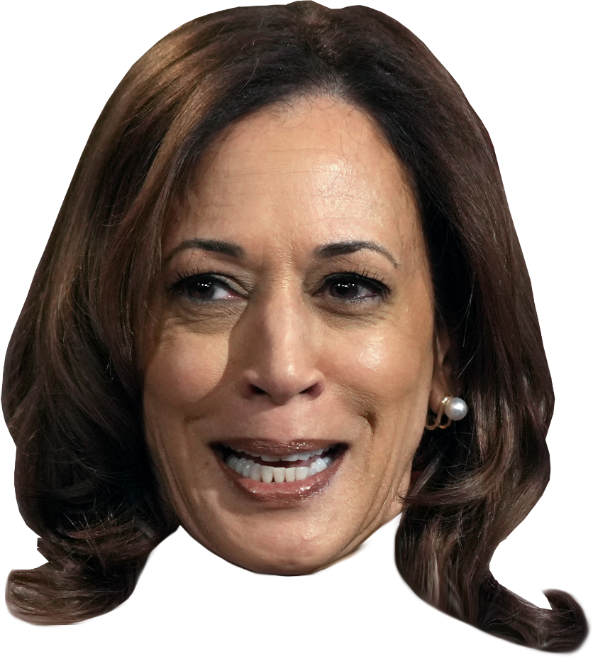 KAMALA - ILLEGIT 'CANDIDATE' Blank Meme Template