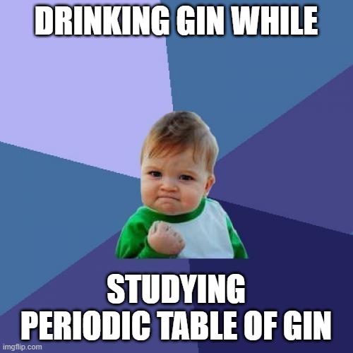 Success Kid Meme | DRINKING GIN WHILE STUDYING PERIODIC TABLE OF GIN | image tagged in memes,success kid | made w/ Imgflip meme maker